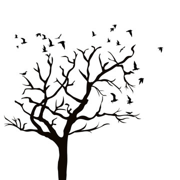 Silhouette of a tree without leaves and birds flying