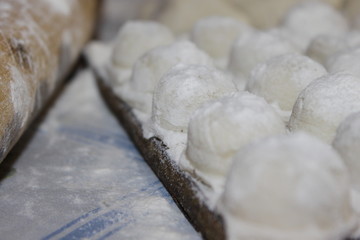 Making dumplings at home / Making dumplings at home using a special form for raviol