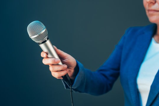 Elegant Female Journalist Conducting Business Interview