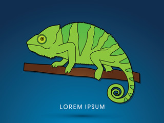 Chameleon graphic vector.