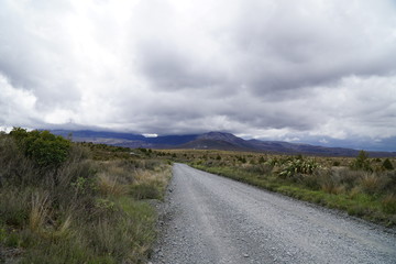 Fototapeta na wymiar Neuseeland_Landschaft