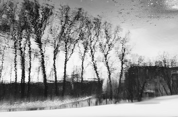 Abstract trees reflection in river. Winter time. Black and white photo.