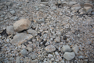 Arctic stone desert surface
