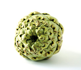 Obraz premium Artichoke seen from the front side on white