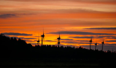 Fototapeta na wymiar Windkraft an der Nordseeküste am Abend