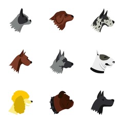 Pet dog icons set. Flat illustration of 9 pet dog vector icons for web