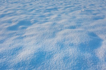 Close up of fresh snow lying on field