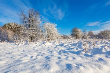Snow covered polish landscape.