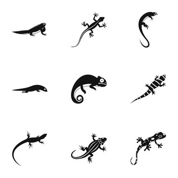 Lizard icons set. Simple illustration of 9 lizard vector icons for web