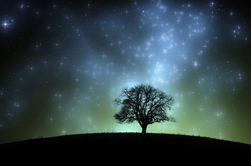 Fototapeta na wymiar fantasy tree on hill at night