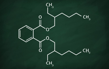 Structural model of DEHP