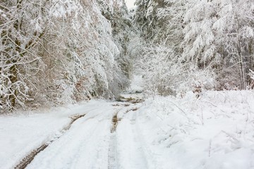 Winter rural road with snowdrifts