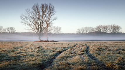 Nebeliger Sonnenaufgang in Brandenburg