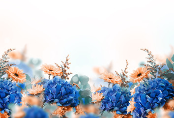 Amazing background with hydrangeas and daisies. Yellow and blue flowers on a white blank. Floral card nature. bokeh butterflies. - 130194025
