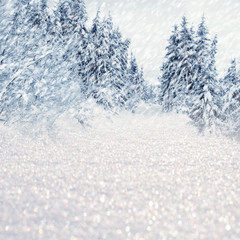 Winter landscape with snowy trees and snowflakes