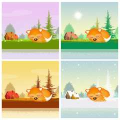 red fox in the four seasons