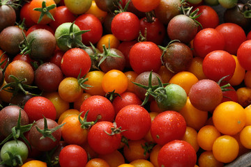 Colorful tomatoes background - obrazy, fototapety, plakaty