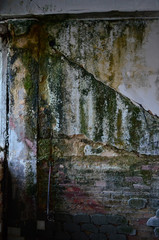 Mold in the roof corner and wall