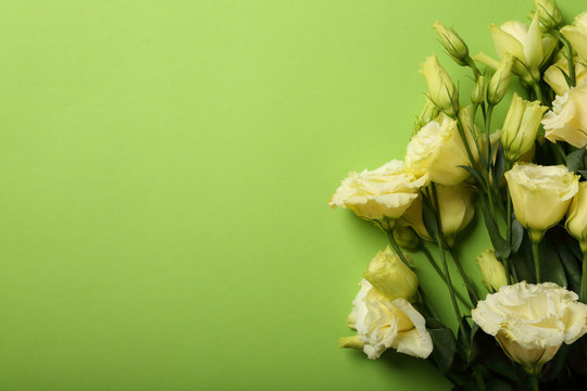 Fototapeta Green background with flowers