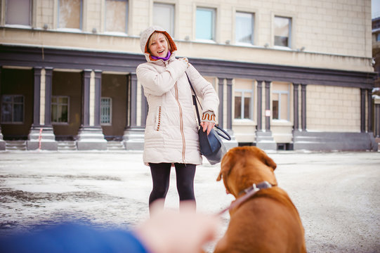 winter walk in the snow with a dog breed Dogue de Bordeaux. girl walking a big red dog on a leash