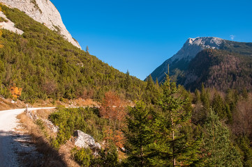 Road among mountains in park wildlife reserve Karwendel in Alps Europe Austria