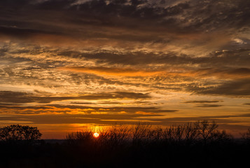 Fototapeta na wymiar evening sky with the setting sun above tree top silhouettes
