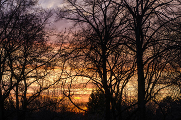 colorful sunset sky behind the silhouettes of bare winter trees