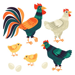 Set illustration with chickens and a rooster