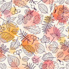 Plakat Seamless pattern with plants. Sketch. Freehand drawing