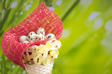 Basket with easter eggs on green grass