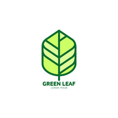Green leaf growing up logo template, vector illustration isolated on white background. Graphic green leaf logotype template with text below, environment protection, nature, growth, development concept