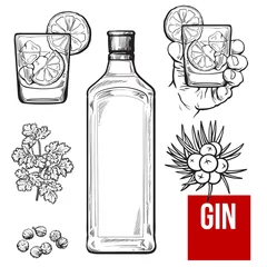Foto op Plexiglas Gin bottle, shot glass with ice and lime, juniper berries, parsley, cardamom, sketch vector illustration isolated on white background. hand drawn gin bottle, shot glass and cocktail ingredients © sabelskaya