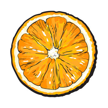 Orange cut in half, top view, sketch style vector illustration isolated on  white background. Realistic colorful hand drawing of round slice of  unpeeled orange Stock Vector | Adobe Stock