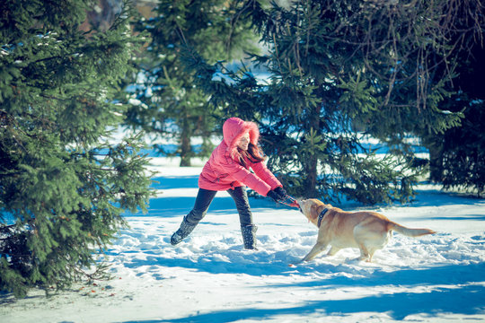 Woman with a dog Labrador  playing in winter outdoors
