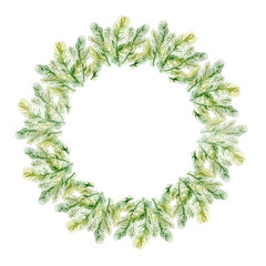 Watercolor Christmas tree branches in Xmas wreath.