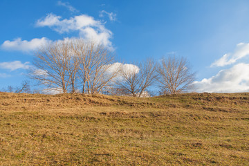 early spring scenery