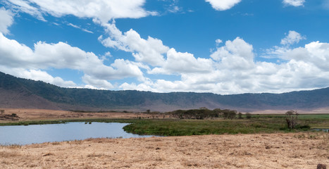 Ngorongoro Natural park in Tanzania, Africa