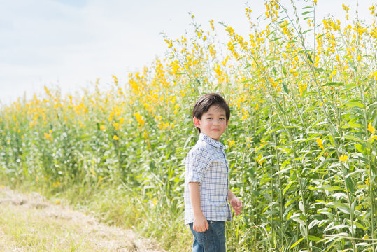 cute Asian child in crotalaria Fields