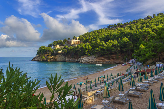 Apula coast,Gargano National Park: Pungnochiuso beach. Vieste,Italy.The bay is bounded by marvellous hills covered with age-old pine trees.
