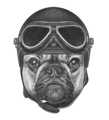 Portrait of French Bulldog with Vintage Helmet. Hand drawn illustration.