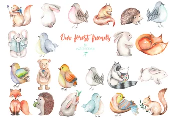 Raamstickers Bosdieren Collectie, set van aquarel schattige bos dieren illustraties, met de hand getekend geïsoleerd op een witte achtergrond