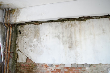 Mold in the old wall 