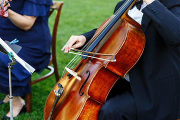 Fototapeta premium Man plays on cello sitting on green lawn