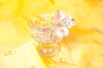 Hydrogel in glass with beautiful flower on yellow background