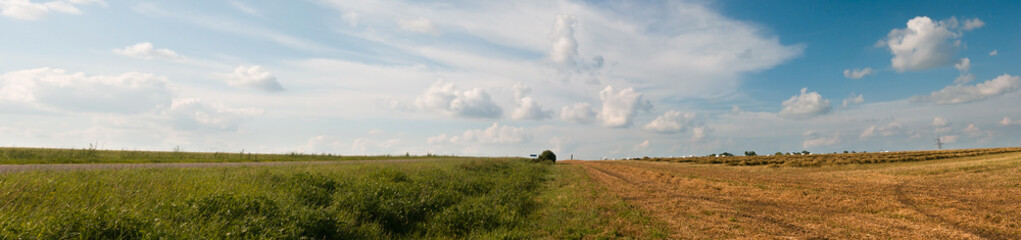 Obraz premium Rural landscape. Panorama of the field after harvest. Summer and autumn in one image, border design panoramic banner