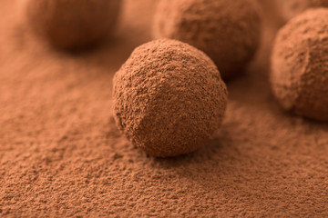 Close up of group of appetizing black chocolate truffles covered