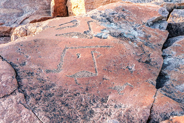 Ancient petroglyphs (rock engravings of 4th-2nd millennia BC) of swans carved on granite Onega Lake shore. Besov Nos cape, Karelia Republic, Russia.
