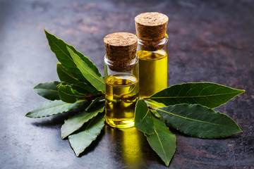 Natural bay laurel essential oil for beauty and spa
