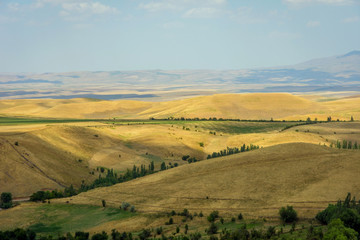 Fototapeta na wymiar Endless kazakh grassland steppe landscape