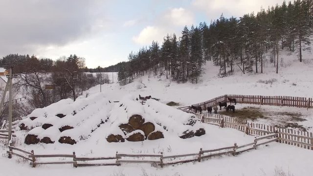 Panoramic aerial view of a farm for breeding horses in winter.